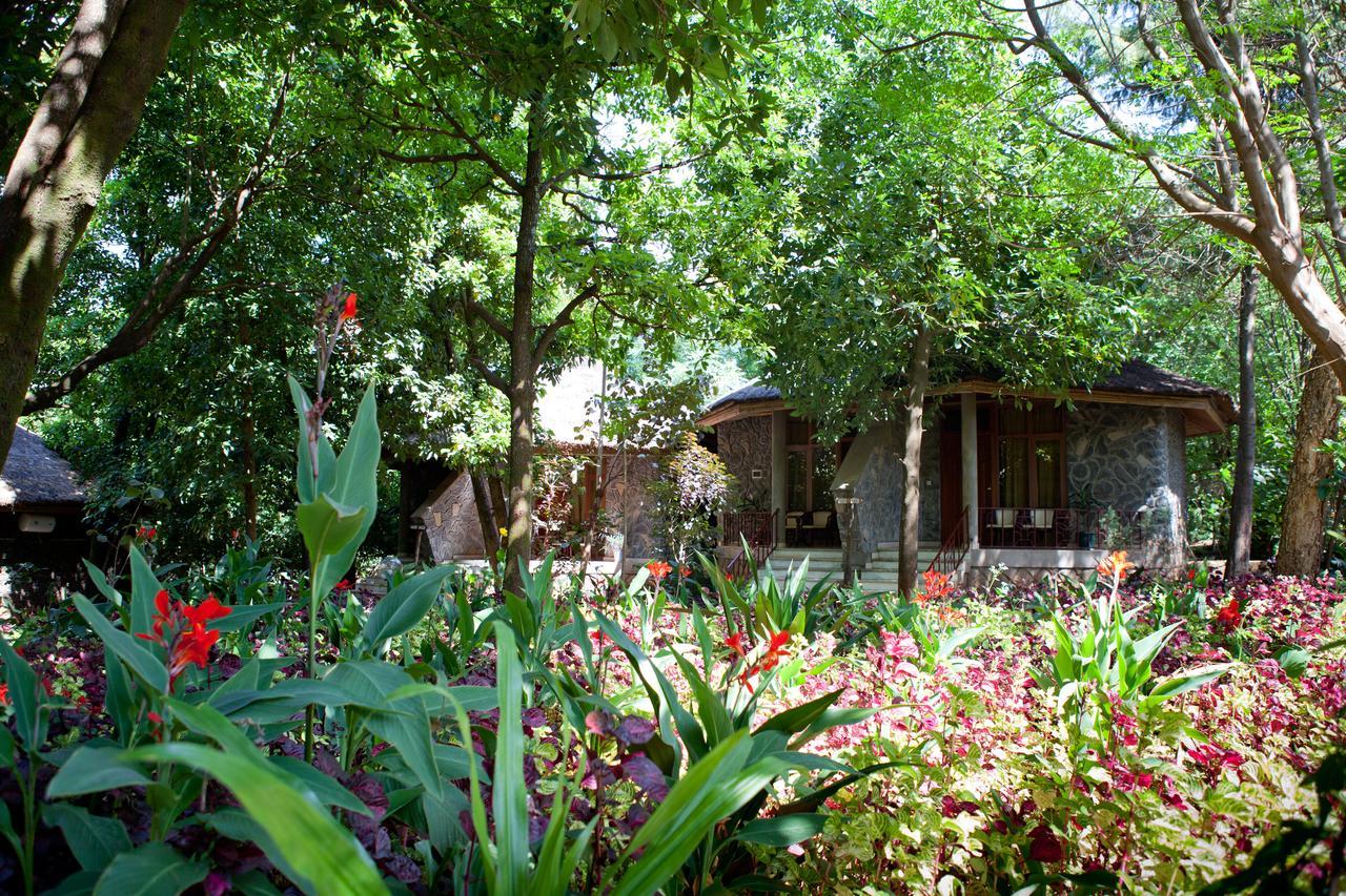 Abay Minch Lodge Bahir Dar Eksteriør billede