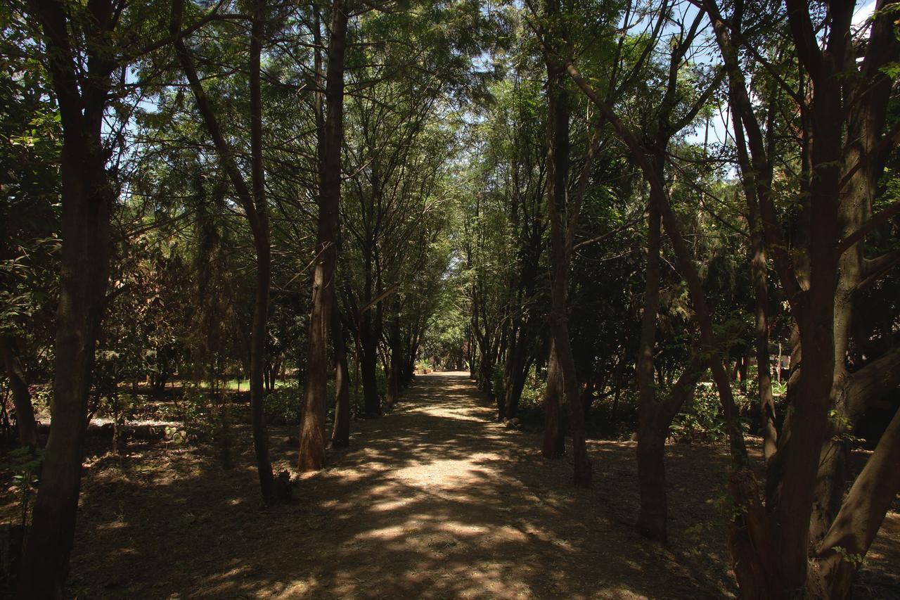 Abay Minch Lodge Bahir Dar Eksteriør billede