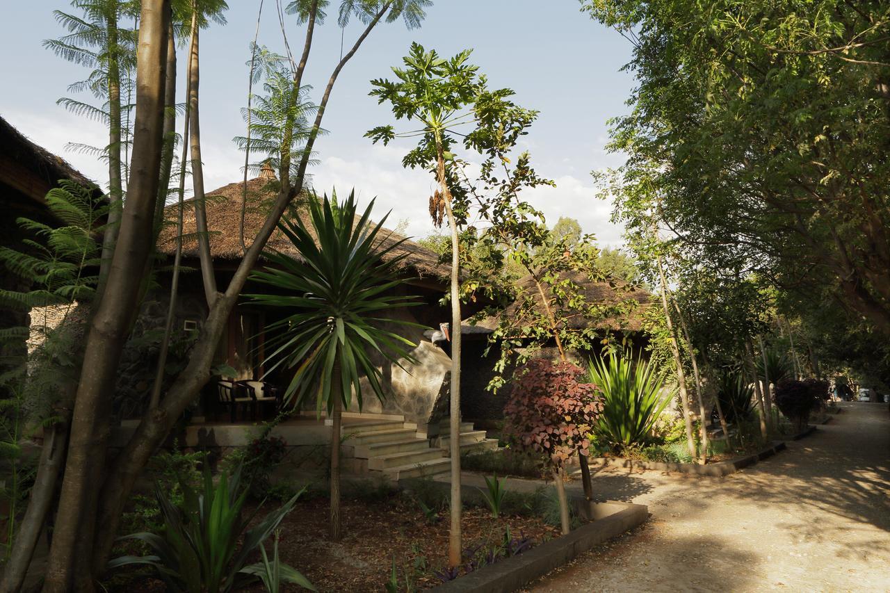 Abay Minch Lodge Bahir Dar Eksteriør billede