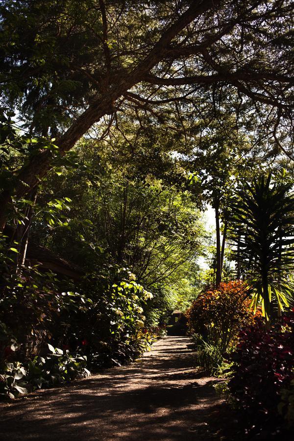 Abay Minch Lodge Bahir Dar Eksteriør billede
