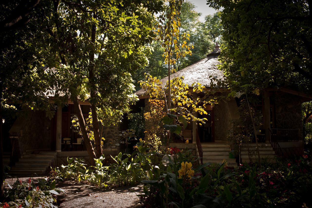 Abay Minch Lodge Bahir Dar Eksteriør billede