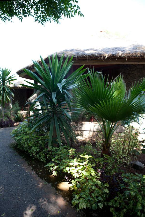 Abay Minch Lodge Bahir Dar Eksteriør billede