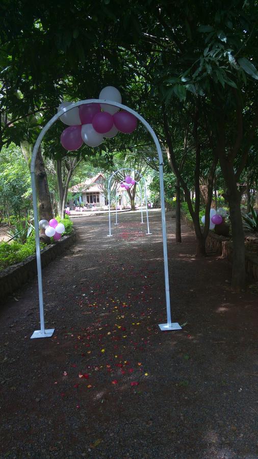 Abay Minch Lodge Bahir Dar Eksteriør billede