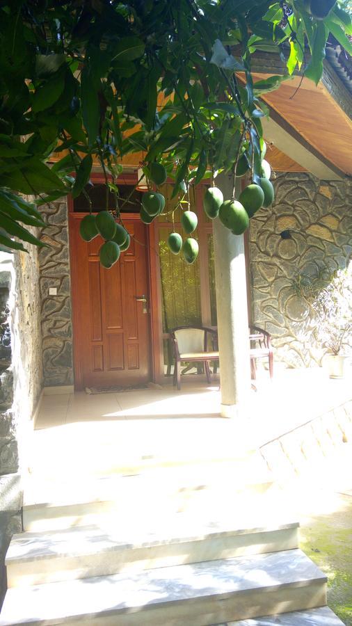 Abay Minch Lodge Bahir Dar Eksteriør billede