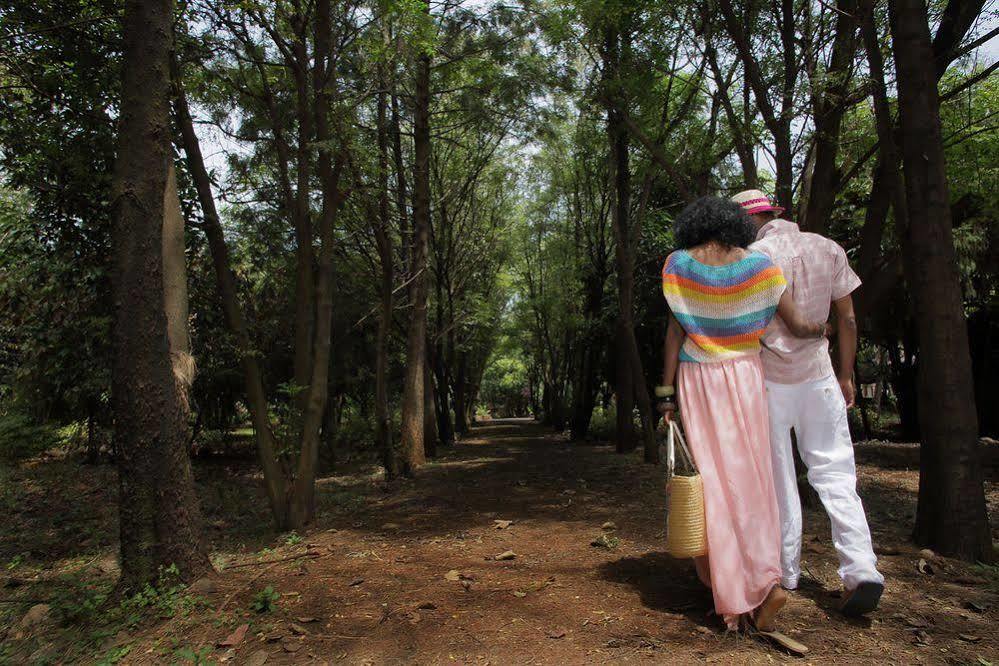 Abay Minch Lodge Bahir Dar Eksteriør billede